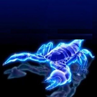 Pseudo Scorpion