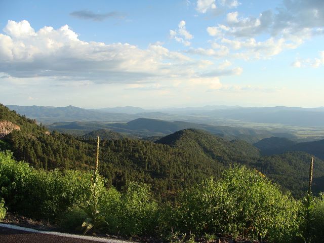 Apache National Forest