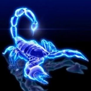 Scorpion!