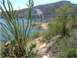 Roosevelt Lake