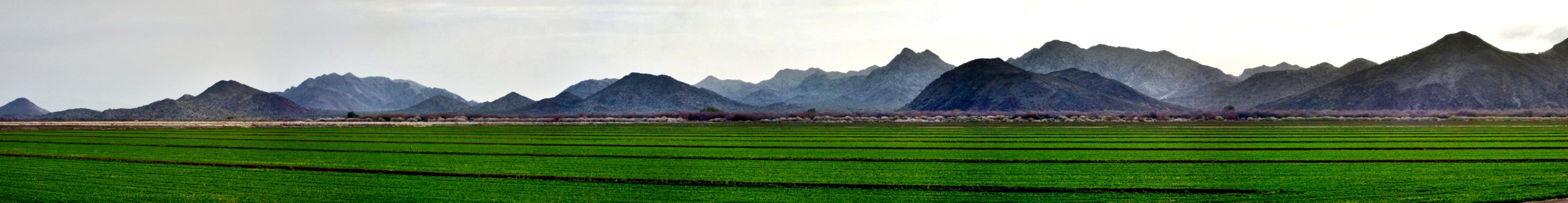 Farms Meet Mountains