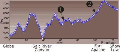 Profile Elevation